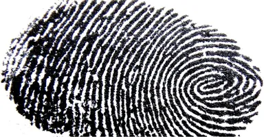 Влияет ли возраст на биометрию отпечатков пальцев — Техноцентр