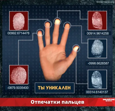Отпечаток пальца Криминалистика, отпечатки пальцев, Форматы файлов  изображений, другие, монохромный png | Klipartz