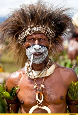 Папуасы (36 фото) » Триникси
