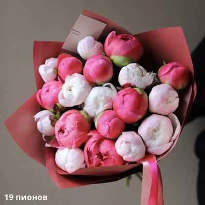 Каталог цветов с доставкой во Владимире по низкой цене - магазин Цветы Цена  Одна