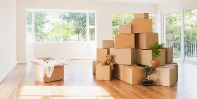 Упаковка вещей для переезда: как собрать и упаковать посуду, технику и  мебель, в чем перевозить