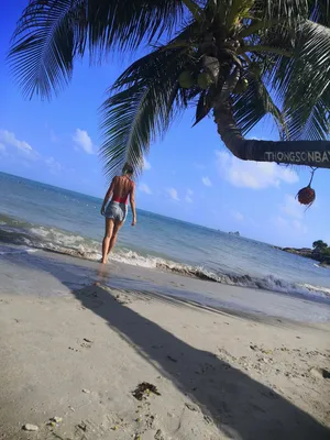 пхукет таиланд. тропический пляжный рай с пляжной качелью с девушкой в  белой рубашке. женщины отдыхают на качелях под кокосовым па Стоковое  Изображение - изображение насчитывающей ладонь, лагуна: 220119759