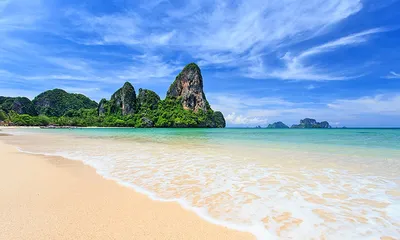 обои пляжа в тропиках обои 220px, пляж и пальмы картинки, пляж, дерево фон  картинки и Фото для бесплатной загрузки