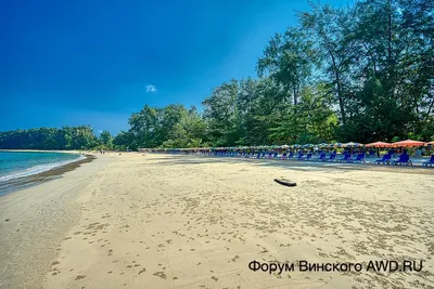 Песок с пляжа: можно ли брать песок с берега себе домой? | Бердск-Онлайн  СМИ | Дзен