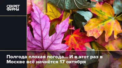 Плохая погода с грозовым дождем сохранится на Ставрополье в начале недели -  АТВмедиа