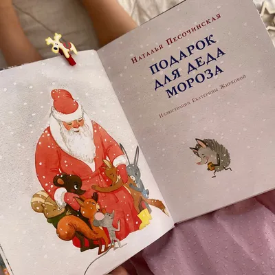 Подарочный бокс «Подарок от Деда Мороза» Premium — купить в Москве в  интернет-магазине Milarky.ru
