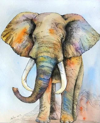 Хобот слона стоковое изображение. изображение насчитывающей одно - 71032239