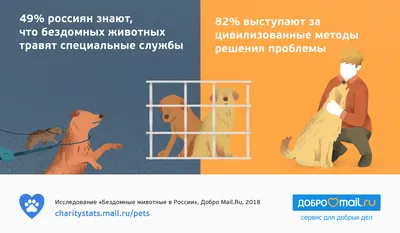 В Академгородке пройдет благотворительная фотосессия в помощь животным