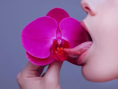 Поза цветущая орхидея