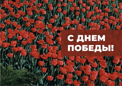 Поздравление с 9 мая - Праздником Победы!