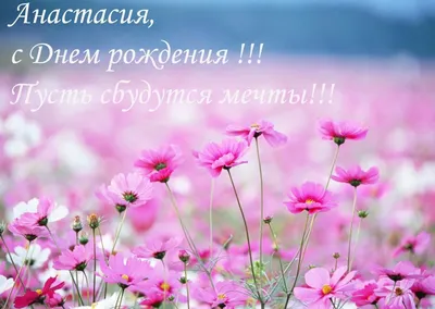 С днём рождения Насте - прикольные поздравления | Pozdravleniya-golosom.ru