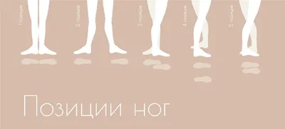 Позиции в балете с картинками (для новичков) | Алиса Кнатько | Дзен