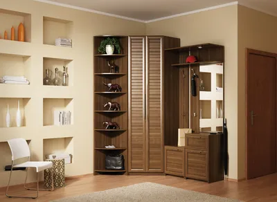 Современная мебель в прихожую – шкаф с распашными дверьми Бойон, МДФ эмаль,  Арт.849