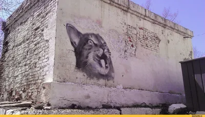 Чип и Дейл в «Жмурках»: необычные граффити появились на улицах Нижнего  Новгорода