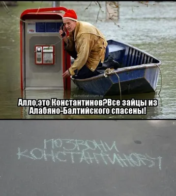 Мистер Исключительный стал главным мемом 2022 года по мнению пользователей  «ВКонтакте»
