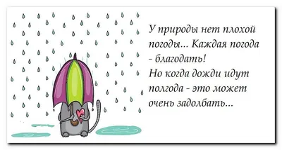 У природы нет плохой погоды 2- Стихи про дождь- Карикатуры, фото- Петя  Камушкин- ХОХМОДРОМ