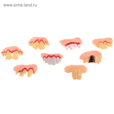 Simpladent - стоматологическая клиника в Бишкеке - Интересные факты о  зубах! 🔹Как известно, у обычного человека на протяжении жизни зубы  меняются дважды: вначале появляется 20 молочных зубов, а затем 32 истинных  зуба.