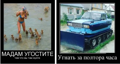 Смешные номера машин в России#рекомендации #рек #врек #врекомендации |  TikTok