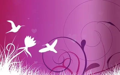 Пурпурная нектарница | Пикабу