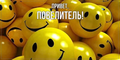 Открытка «Привет из Санкт-Петербурга» - Морда Довольна