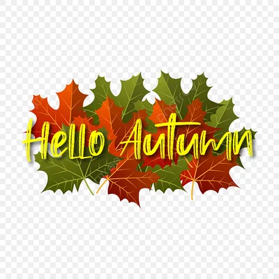 Осенняя и желтая листочки на белом фоне Деревянные пластины с надписью на  осеннем фоне Стоковое Изображение - изображение насчитывающей клен,  природа: 160812347