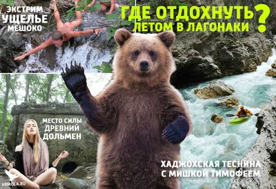 Отдых на Байкале летом 2022: цены, советы, отзывы о турах