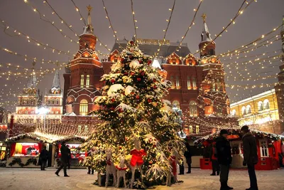 Рождество в Великобритании – Present Simple | Школа английского в Харькове