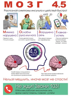 Профилактика инсульта | Невролог Есин Олег Радиевич | Дзен