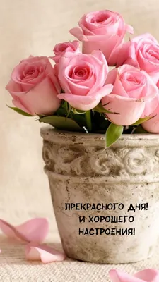 🌹🌹🌹 От души , для вас !!! | Поздравления, пожелания, открытки | ВКонтакте