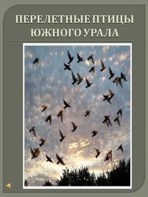 Суровая птица | По Тропам Южного Урала