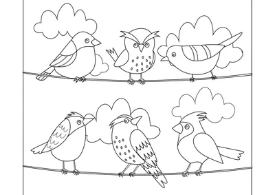 Иллюстрация 8 из 23 для Райские птицы. Раскраска-антистресс для творчества  и вдохновения | Лабиринт - книги.