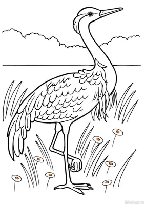 Вектор книжка-раскраски фидера птицы зимы Иллюстрация вектора - иллюстрации  насчитывающей реалистическо, старо: 106727032