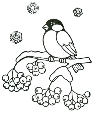 Раскраски для детей с птицами скачать и распечатать бесплатно