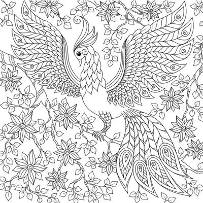 рисунок милая птица в форме птицы раскраски бесплатный контура эскиз вектор  PNG , рисунок птицы, рисунок крыла, рисунок кольца PNG картинки и пнг  рисунок для бесплатной загрузки