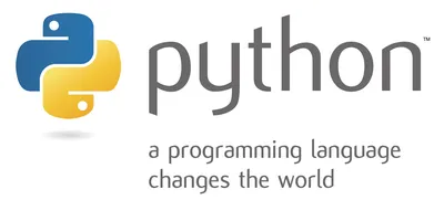 Аутсорсинг (заказная разработка) на Python 💻 | Компания «Work Solutions»