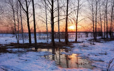 Пейзаж, ранняя весна, река №297 - купить в Украине на Crafta.ua
