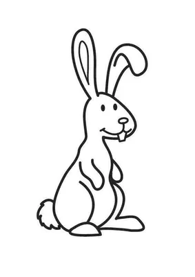 раскраска заяц для детей бесплатно распечатать | Coelhos para colorir,  Coelhinho da páscoa, Coelho desenho