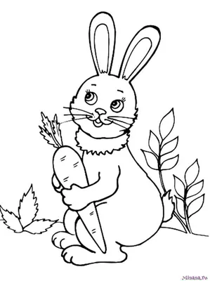 Раскраска животных заяц. раскраски животных раскраска заяц. Бесплатные  раскраски.