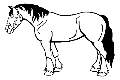 Раскраска - Домашние животные - Конь | MirChild