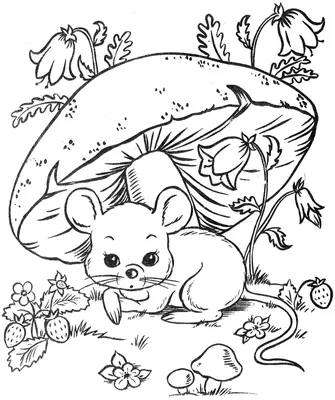 рисунок Раскраска животные для начинающих PNG , рисунок животного, книжный  рисунок, рисунок кольца PNG картинки и пнг рисунок для бесплатной загрузки