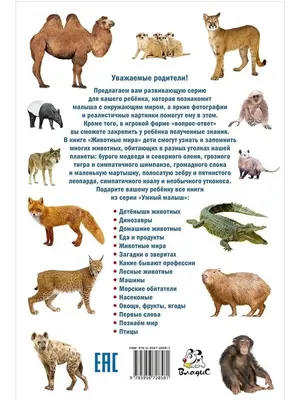 Наклейки с заданиями. Такие разные животные - купить с доставкой по Москве  и РФ по низкой цене | Официальный сайт издательства Робинс