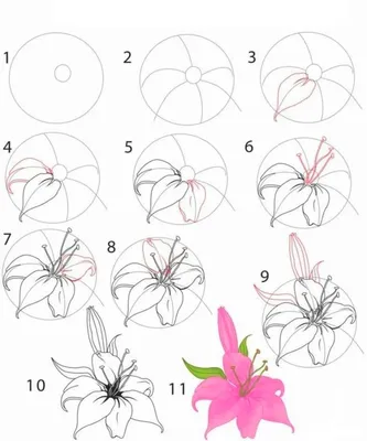 Рисуем цветы | форум Babyblog