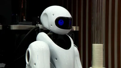 Топ-10 роботов, которые могут отнять твою работу