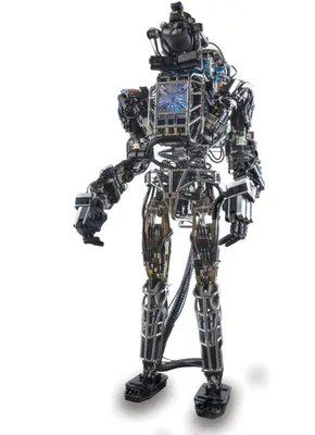 Чемпионат мира по битве роботов войдет в программу «Игр Будущего» –  Объясняем.рф