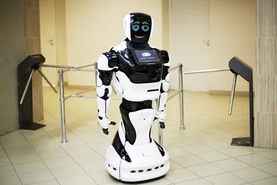 Как устроены современные роботы — Национальный исследовательский  университет «Высшая школа экономики»