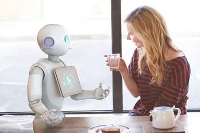 Эволюция машин: чему человек учит роботов. И зачем? О целях, способностях  роботов и перспективах их развития – Пресс-центр – Фонд инфраструктурных и  образовательных программ (ФИОП)