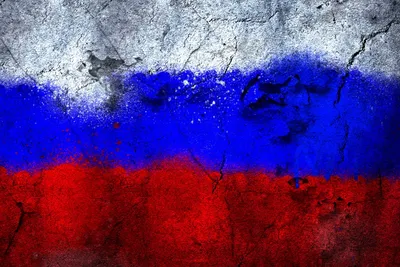 Тест: насколько хорошо вы знаете историю российского флага? — ЯСИА