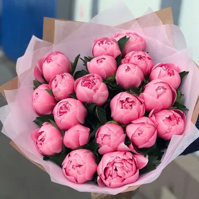 Гладиолусы розовые купить недорого в интернет-магазине.