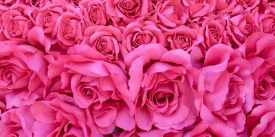 Букет «Фиолетовые и розовые цветы» за 13130 ₽ с доставкой по Москве