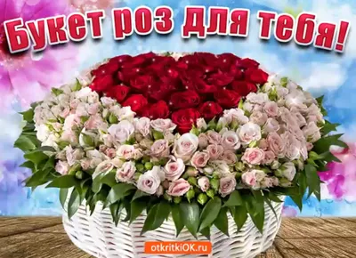 Красные и розовые розы для тебя Стоковое Изображение - изображение  насчитывающей внимательность, бирмингем: 163185607
